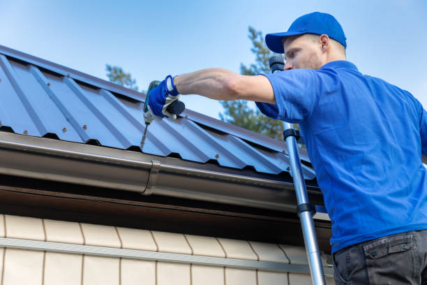 Best Gutter Installation and Repair  in Cienega Springs, AZ